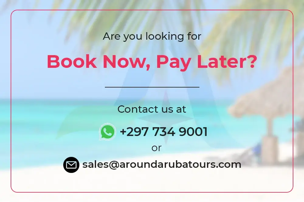 Book Now Pay Later